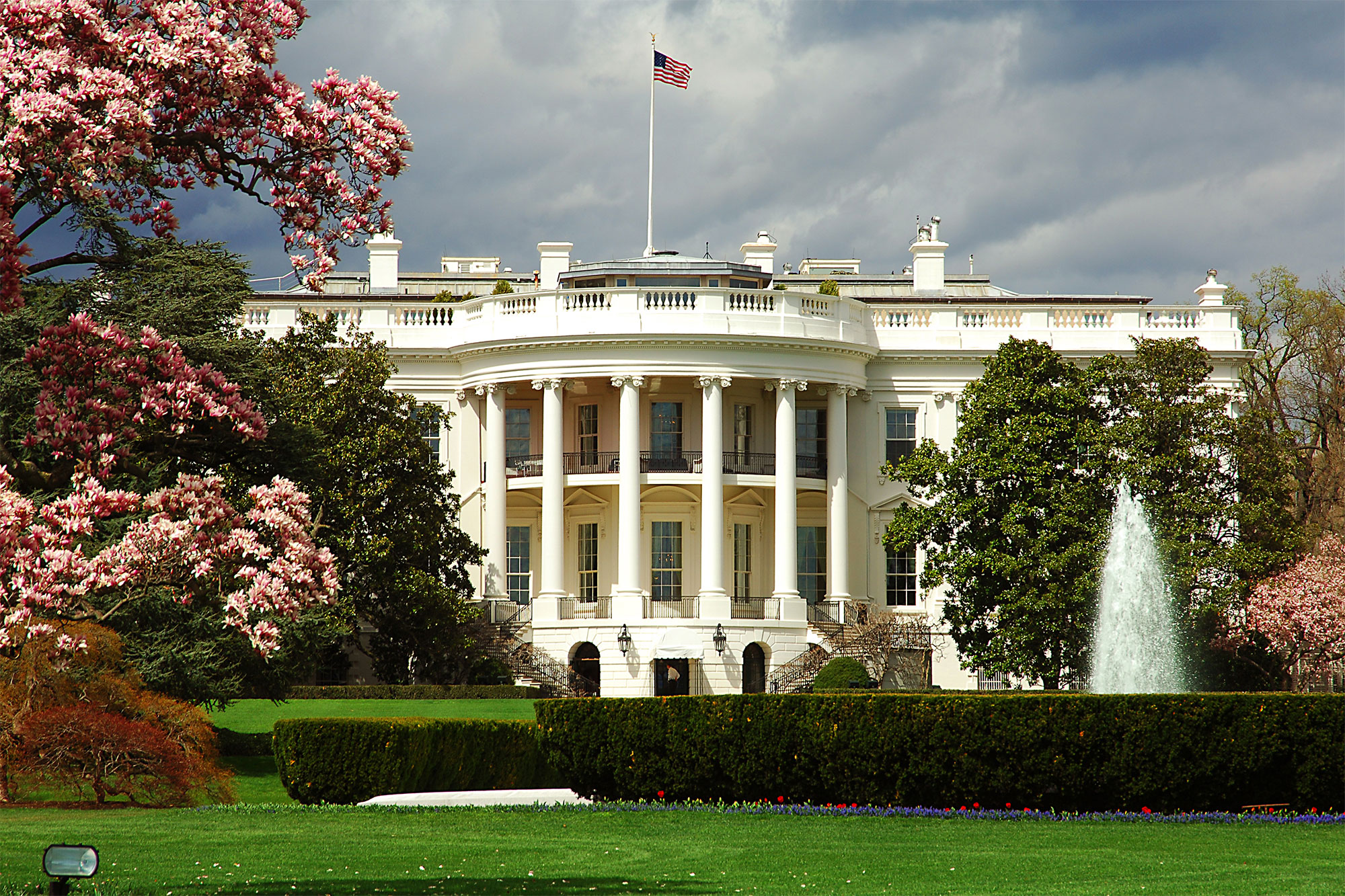 The White House