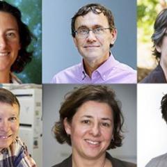 The six ARC Laureate Fellows: Professor Tamara Davis, Professor Peter Visscher, Professor Christine Beveridge, Professor Bostjan Kobe, Professor Jolanda Jetten and Professor Hanns-Christoph Nägerl.