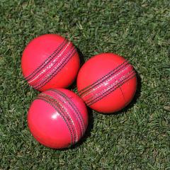 pink cricket balls
