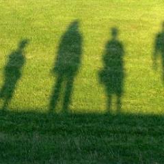shadows