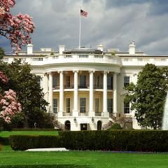The White House